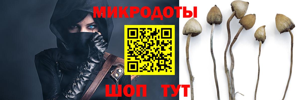 Псилоцибиновые грибы GOLDEN TEACHER  Псилоцибиновые грибы прущие грибы  Можайск  Вход с VPN 
